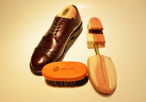 WHEELROBE HORSE HAIR SHOE BRUSH